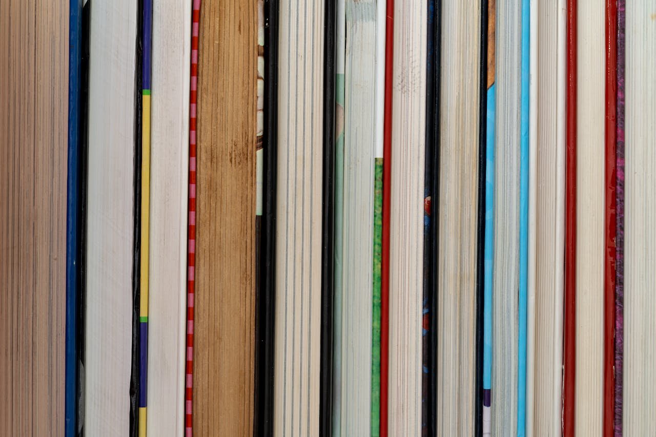 Close-up of colorful book spines aligned in a vertical row, showcasing assorted covers.